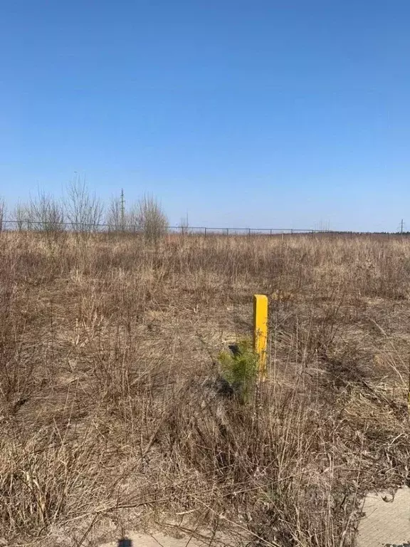 Участок в Москва д. Ширяево, аллея Березовая (15.0 сот.) - Фото 1