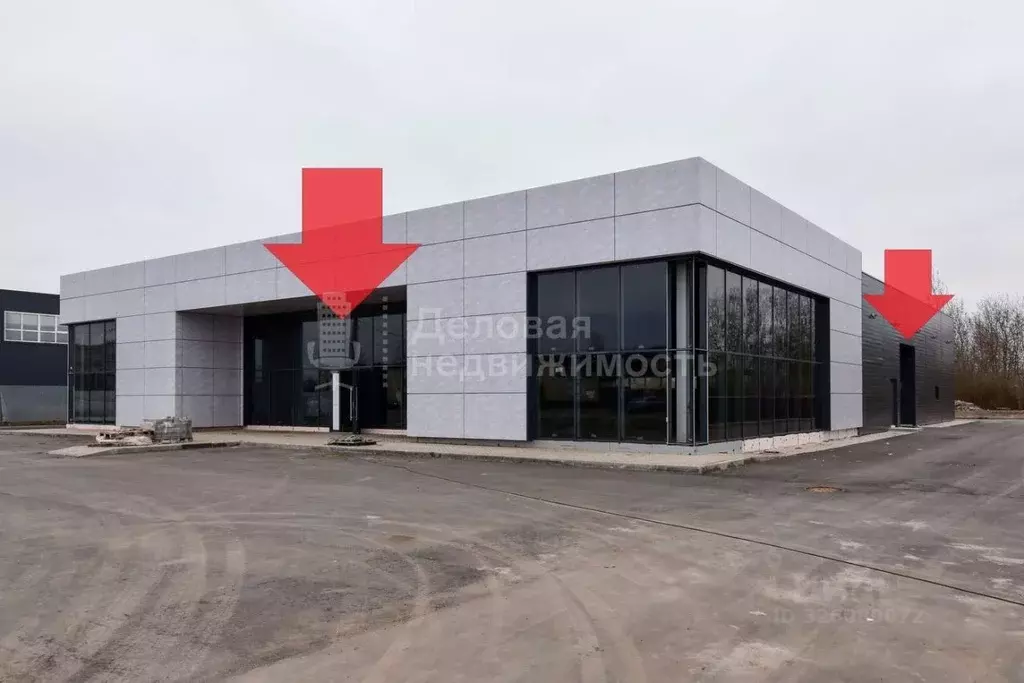 Помещение свободного назначения в Новгородская область, Великий ... - Фото 2