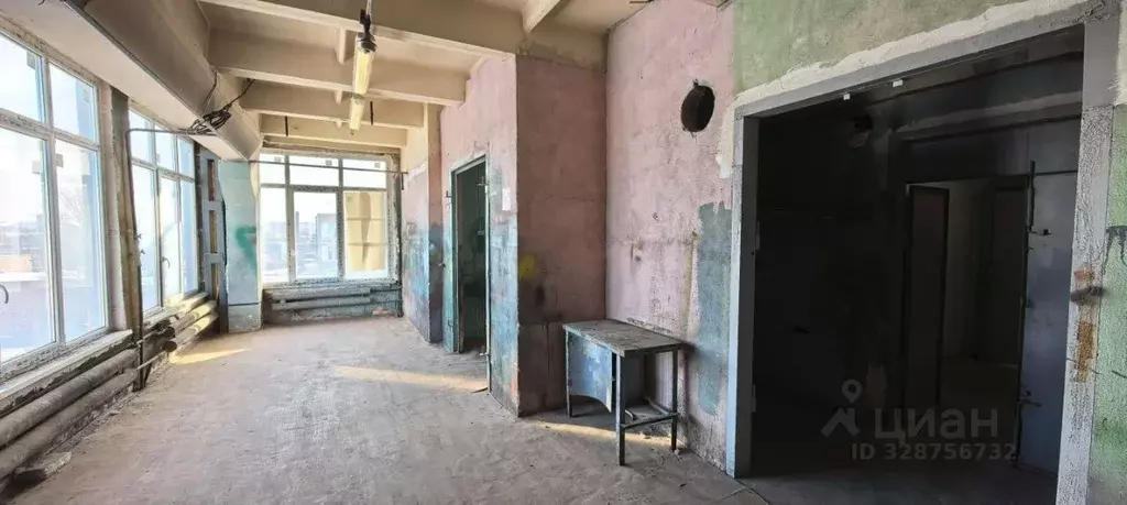 Помещение свободного назначения в Санкт-Петербург Грузинская ул., 5В ... - Фото 1