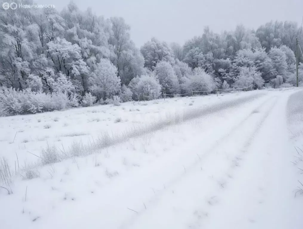 Участок в Щёкинский район, сельское поселение Лазаревское, деревня ... - Фото 2