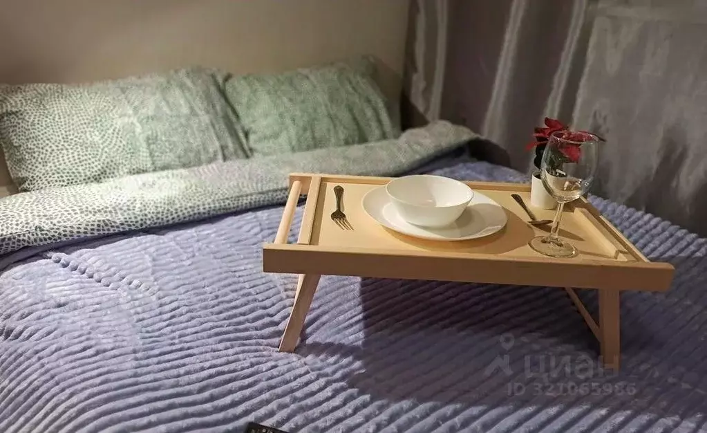 1-к кв. Новосибирская область, Новосибирск ул. Блюхера, 54 (15.0 м) - Фото 2