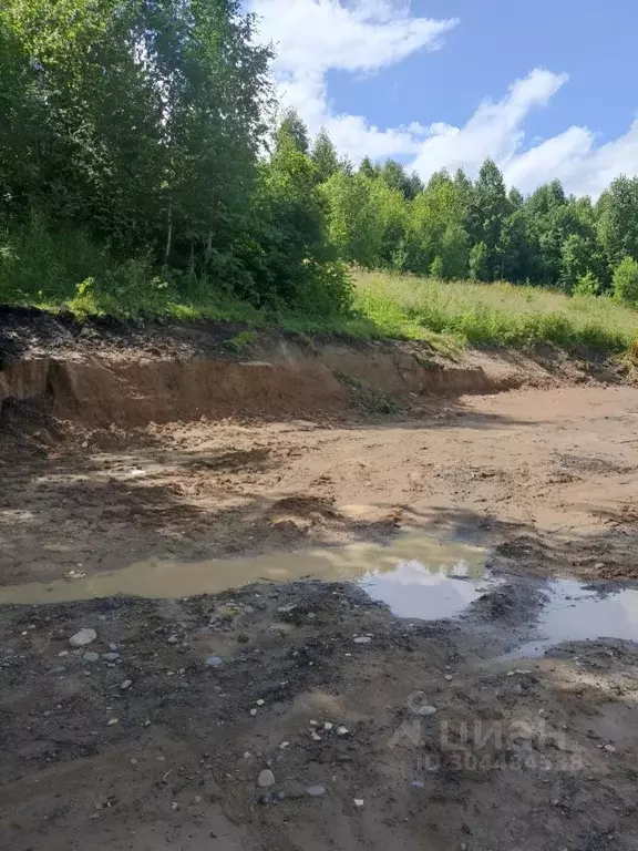 Участок в Кемеровская область, Междуреченск ул. Дружбы (10.0 сот.) - Фото 1