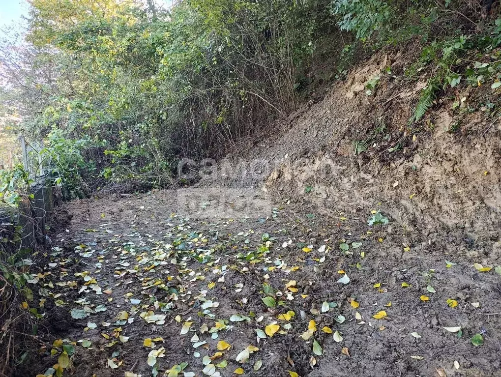 Участок в Краснодарский край, Сочи ул. Яна Фабрициуса, 26 (1.0 сот.) - Фото 1