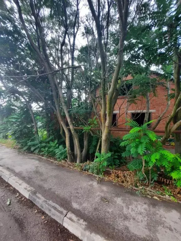 Участок в Ростовская область, Аксайский район, Большелогское с/пос, ... - Фото 2