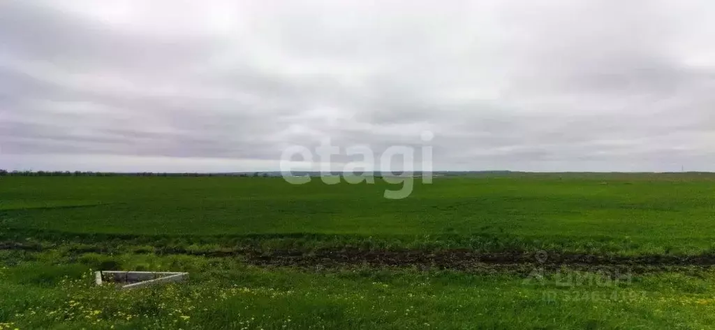 Участок в Крым, Ленинский район, Семисотское с/пос, с. Каменское ул. ... - Фото 1