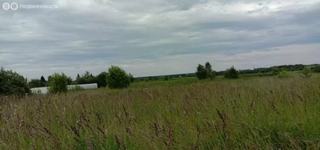 Участок в Суздальский район, муниципальное образование Селецкое, село ... - Фото 1