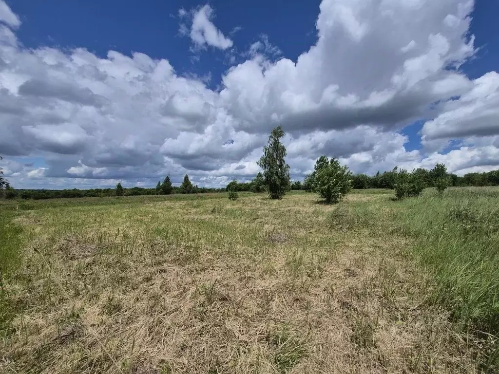 Участок в Курская область, Курск М-2 Крым, 525-й км (10.0 сот.) - Фото 2