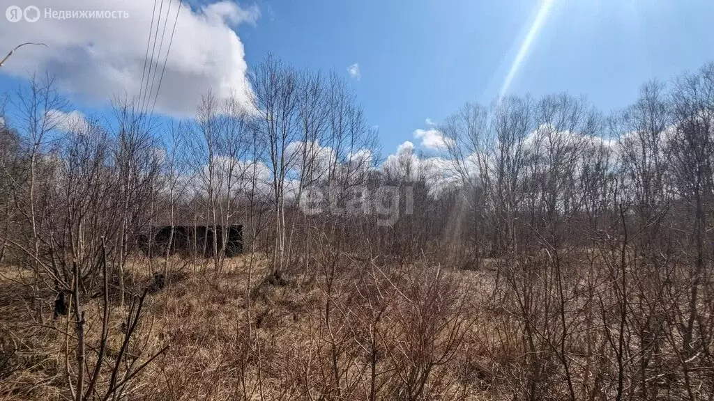 Участок в Елизовский район, садовое некоммерческое товарищество Свет ... - Фото 0