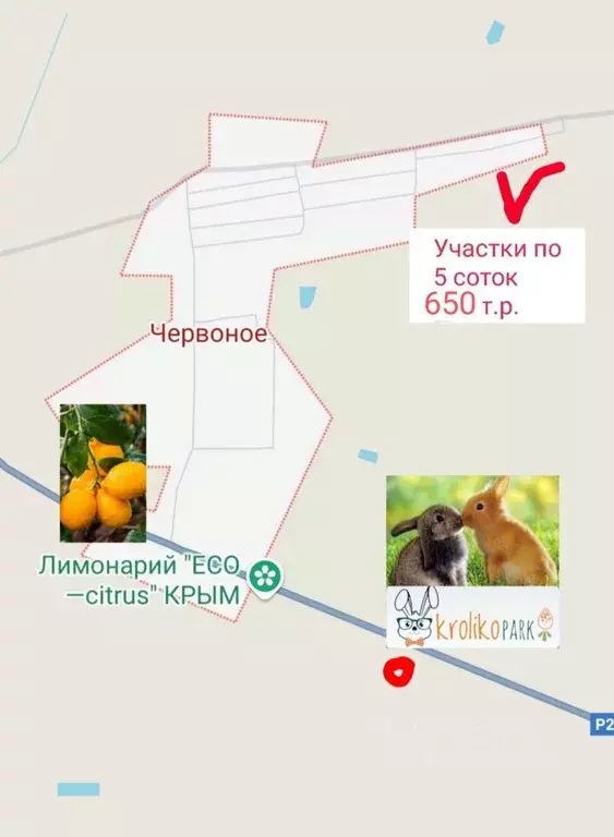 Участок в Крым, Сакский район, Ореховское с/пос, с. Червоное  (5.0 ... - Фото 1
