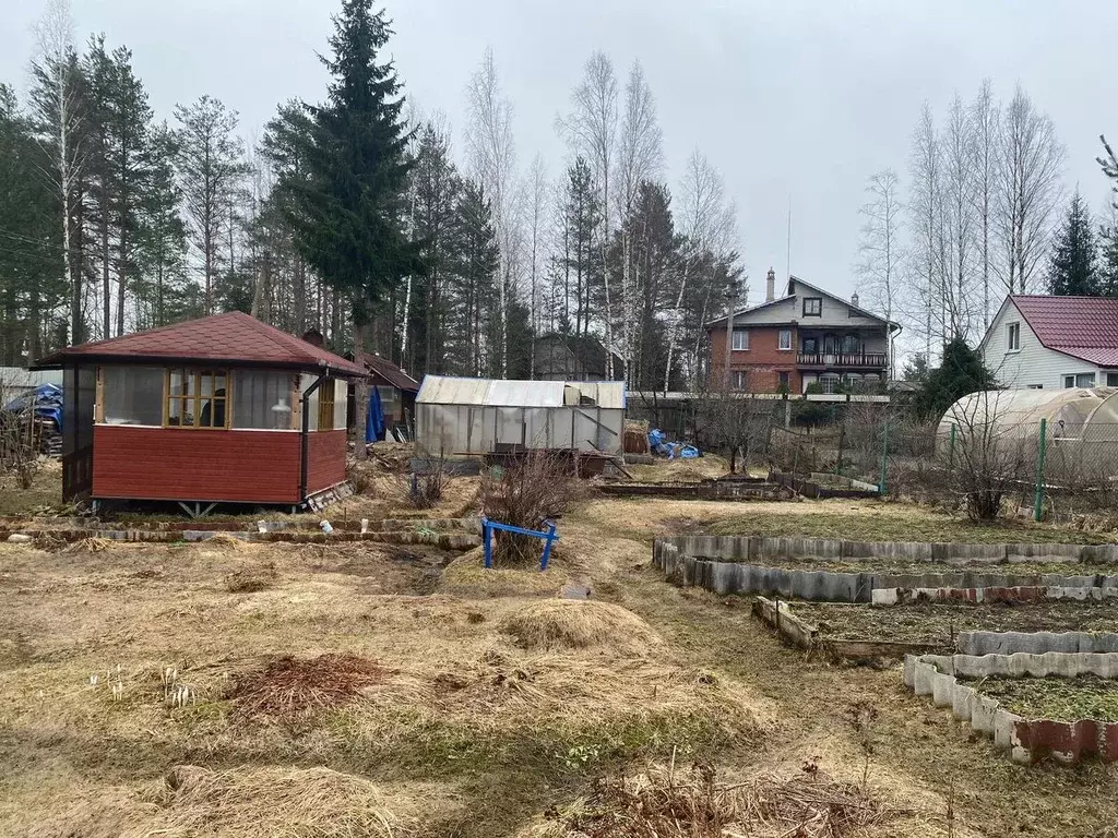 Участок в Ленинградская область, Всеволожский район, Куйвозовское ... - Фото 0