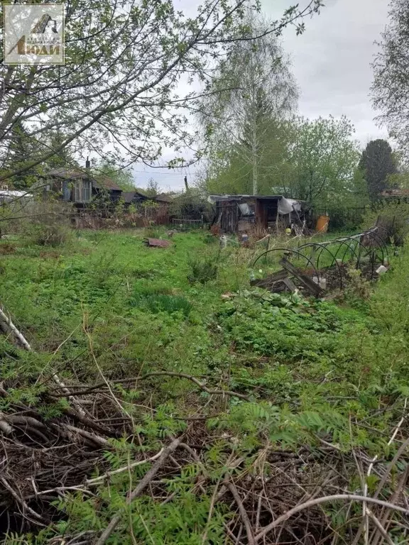 Участок в Новосибирская область, Новосибирск Березовая Роща садовое ... - Фото 1