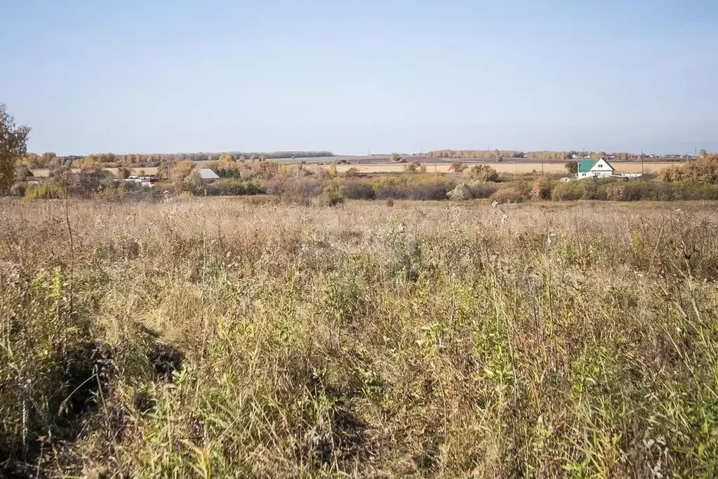 Участок 11 сот. (ИЖС) - Фото 0