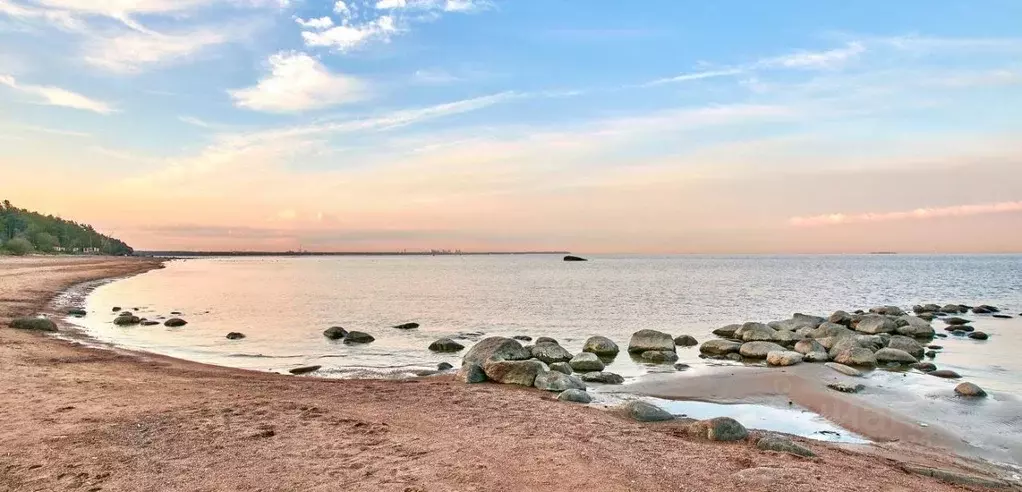 Участок в Санкт-Петербург пос. Репино, Приморское ш., 471Х (12.0 сот.) - Фото 2