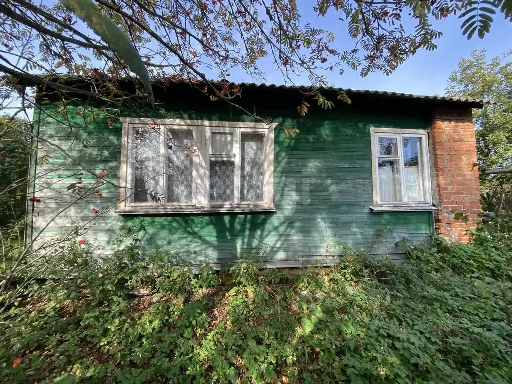 Дом в Владимирская область, Суздальский район, Новоалександровское ... - Фото 2