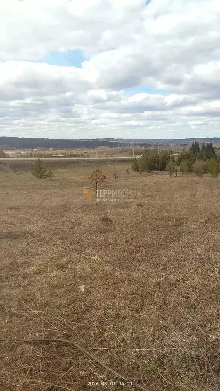 Участок в Пермский край, Пермский муниципальный округ, д. Большакино ... - Фото 2