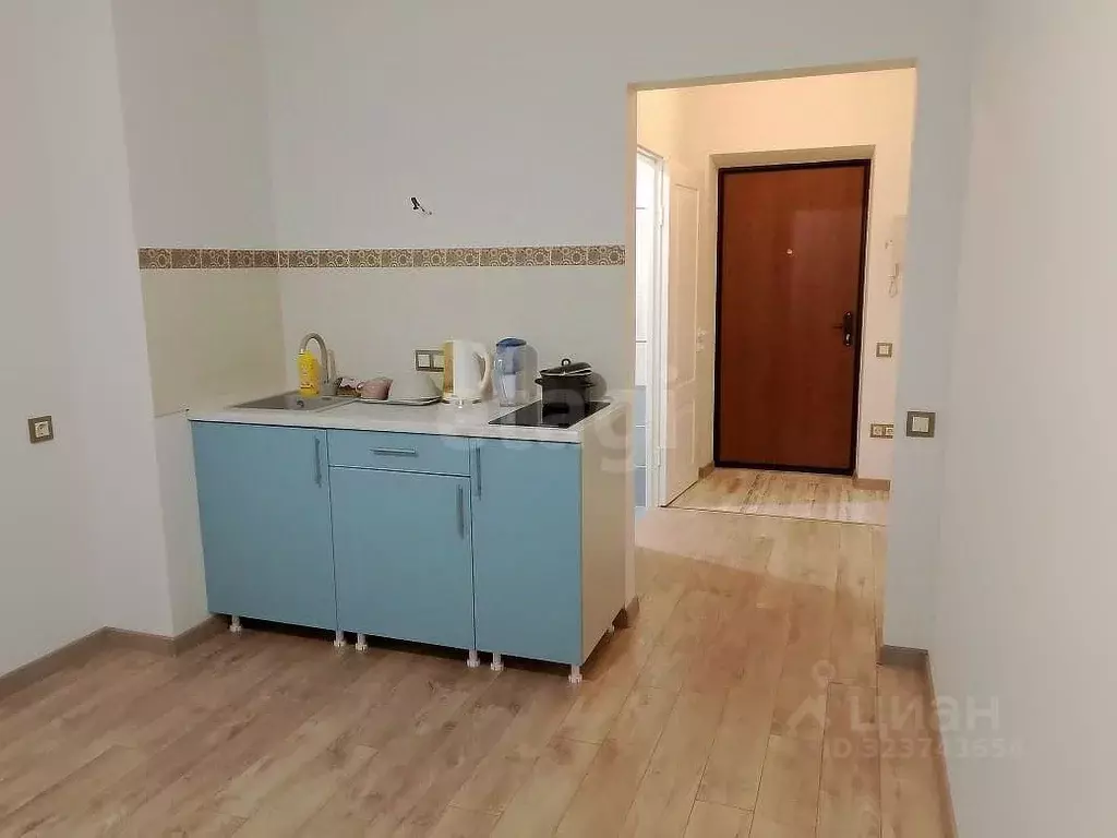 Студия Башкортостан, Уфимский район, с. Михайловка Новоуфимская ул., ... - Фото 1