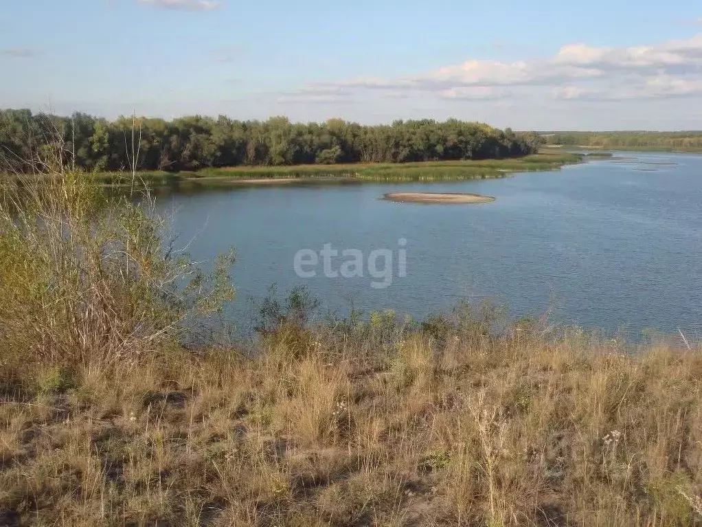Участок в Волгоградская область, Городищенский район, Вертячинское ... - Фото 1