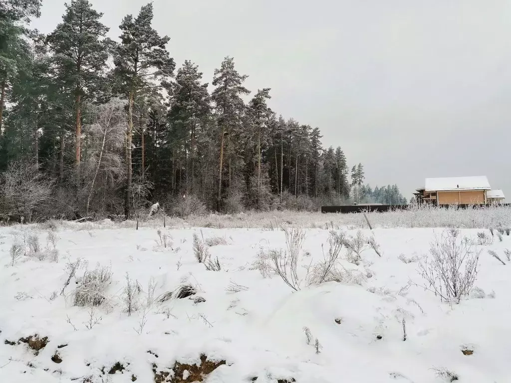 Участок в Московская область, Электроугли Богородский городской округ, ... - Фото 2