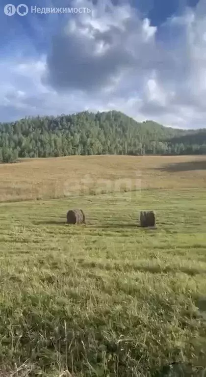 Участок в Чемальский район, Аносинское сельское поселение, территория ... - Фото 1