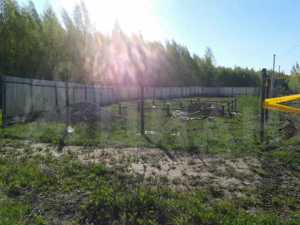 Купить Сено В Арзамасе И Арзамасском Районе