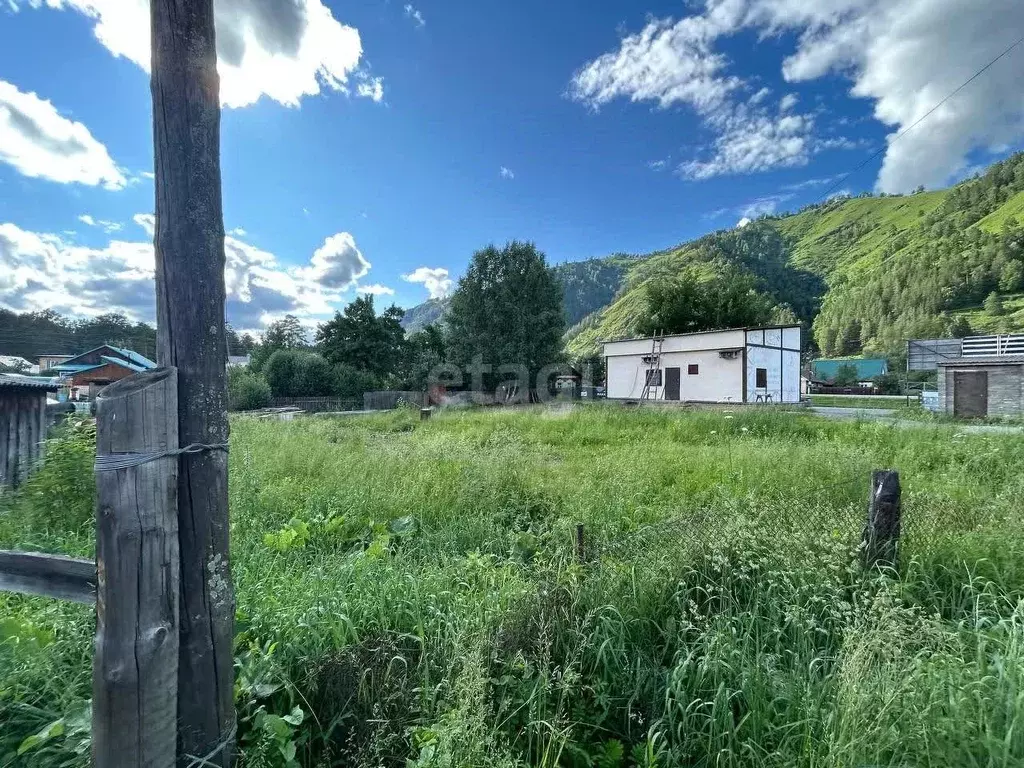 Участок в Алтай, Майминский район, с. Манжерок Садовая ул. (7.0 сот.) - Фото 1