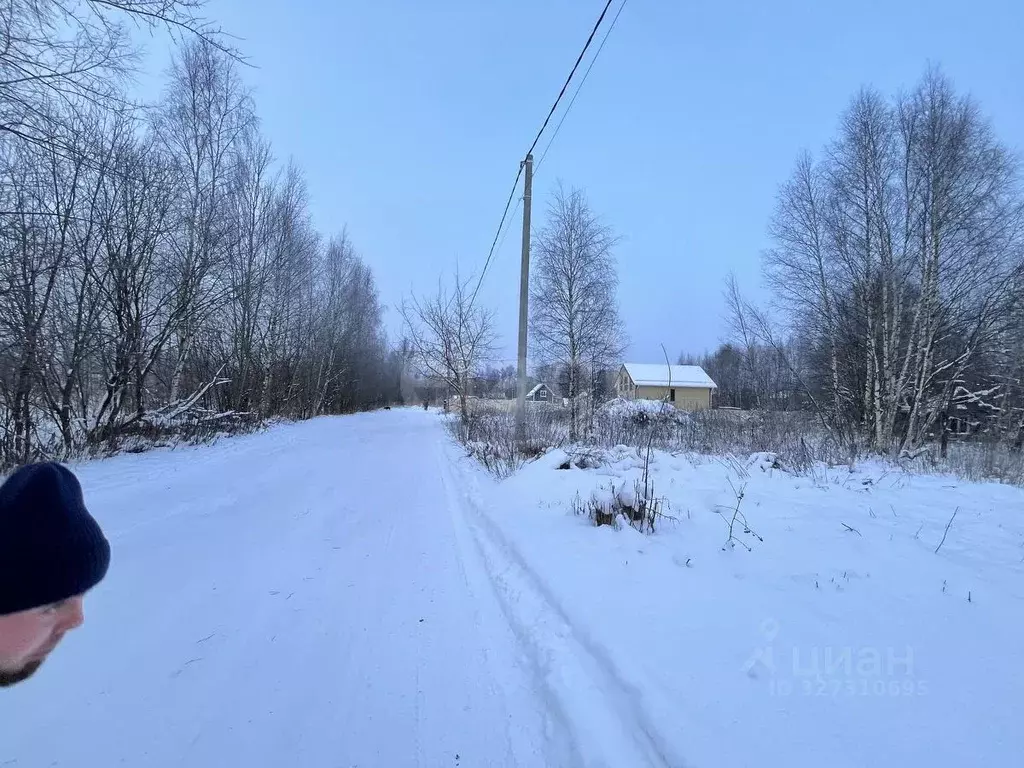 Участок в Ярославская область, Ярославский муниципальный округ, д. ... - Фото 2
