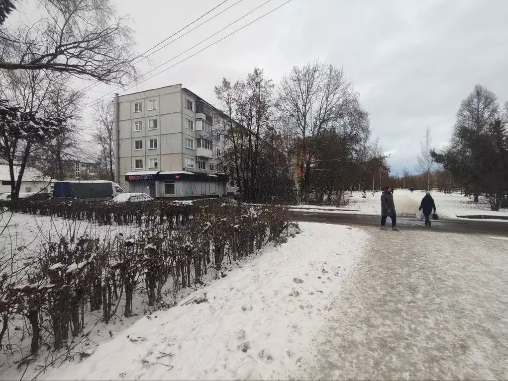 Торговая площадь в Новгородская область, Великий Новгород ул. ... - Фото 1