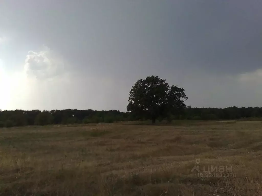 Участок в Волгоградская область, Михайловский район, Моховский хут.  ... - Фото 2