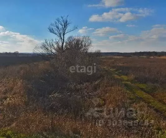 Участок в Белгородская область, Белгородский район, Поселок Разумное ... - Фото 1