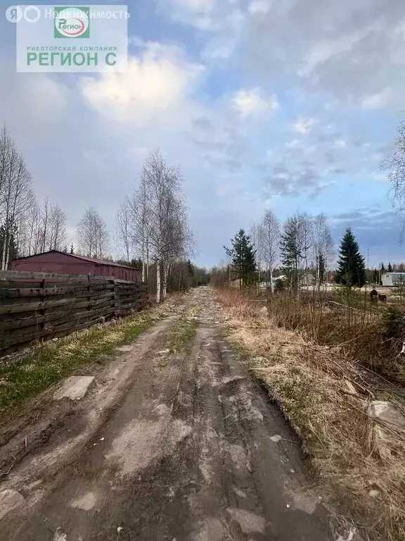 Участок в Архангельская область, Приморский муниципальный округ, СНТ ... - Фото 0