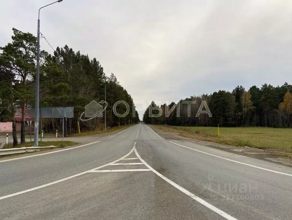 Участок в Тюменская область, Тюменский муниципальный округ, с. Успенка ... - Фото 1