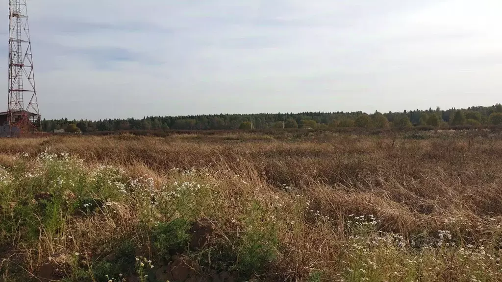 Участок в Московская область, Сергиево-Посадский городской округ, д. ... - Фото 0