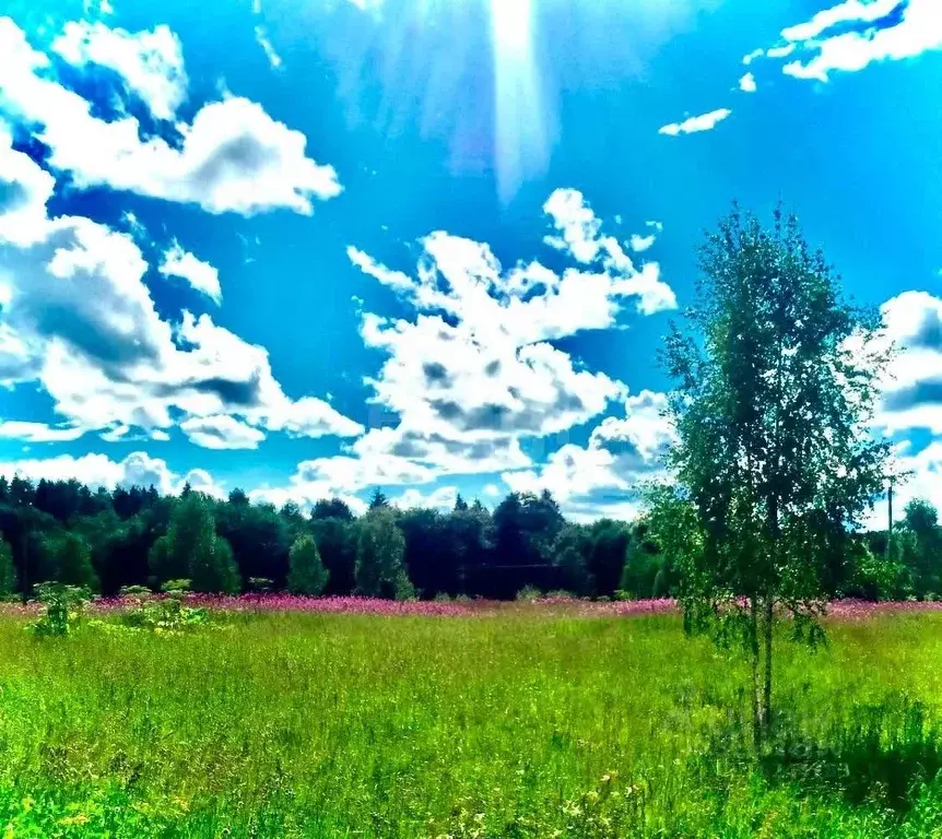 Участок в Московская область, Клин городской округ, д. Парфенькино  ... - Фото 1