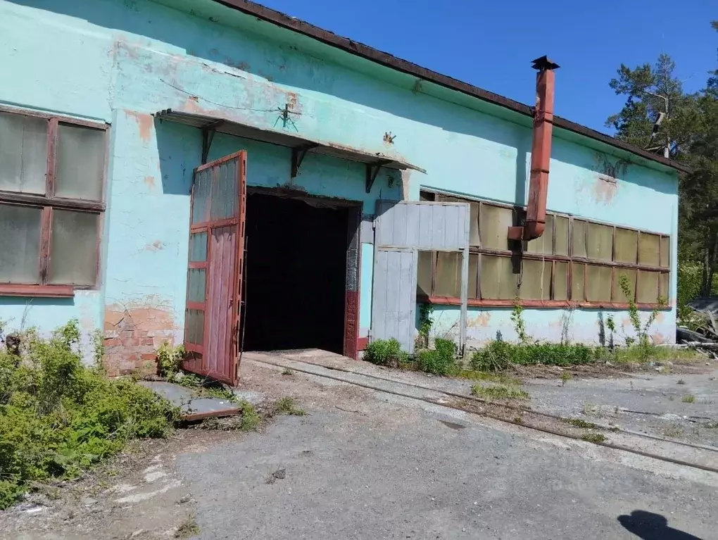 Производственное помещение в Свердловская область, Асбест ул. ... - Фото 0