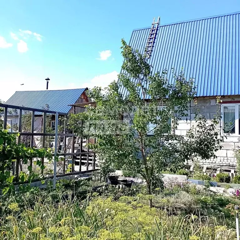 Дом в Курганская область, Курган пл. Имени В.И. Ленина (36 м) - Фото 2