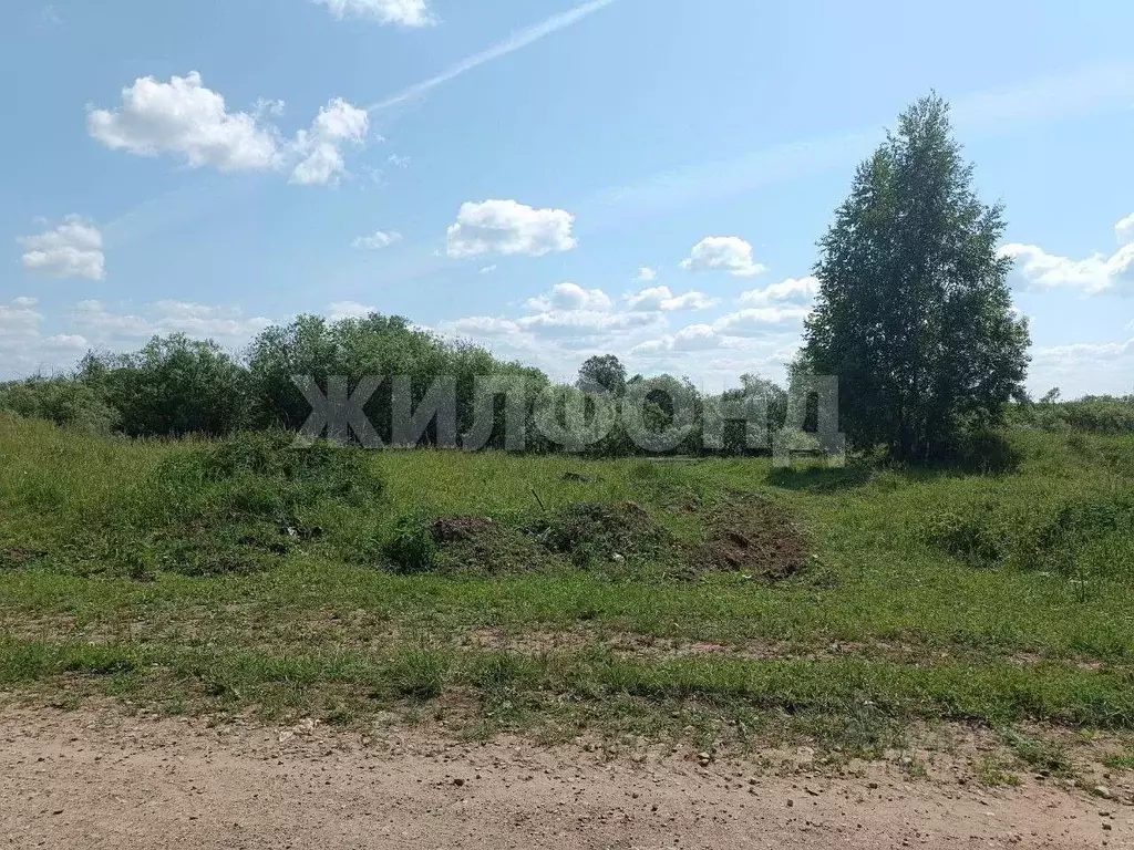 Участок в Томская область, Томский район, с. Калтай ул. Ленина (15.0 ... - Фото 1
