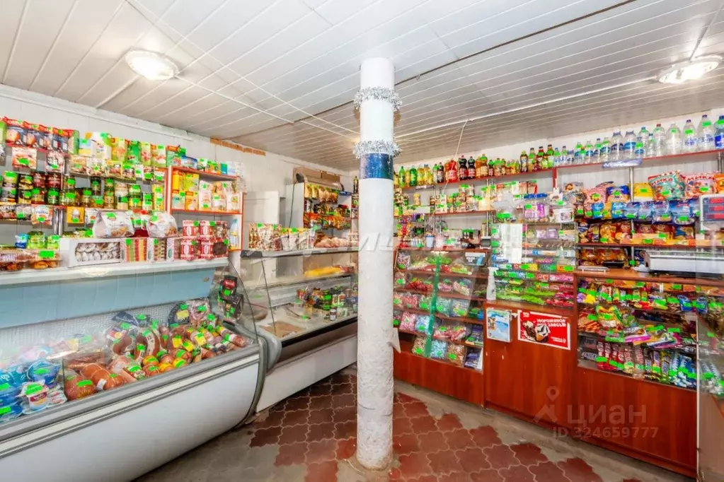 Торговая площадь в Крым, Симферопольский район, Николаевское с/пос, с. ... - Фото 2