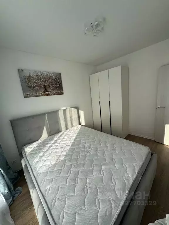 1-к кв. Ленинградская область, Ломоносовский район, Аннинское ... - Фото 2