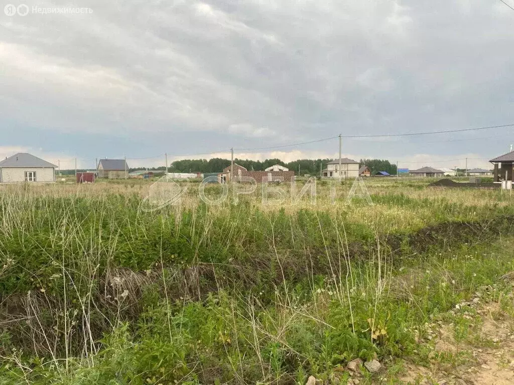 Участок в Тюменский район, деревня Елань (8.51 м) - Фото 1