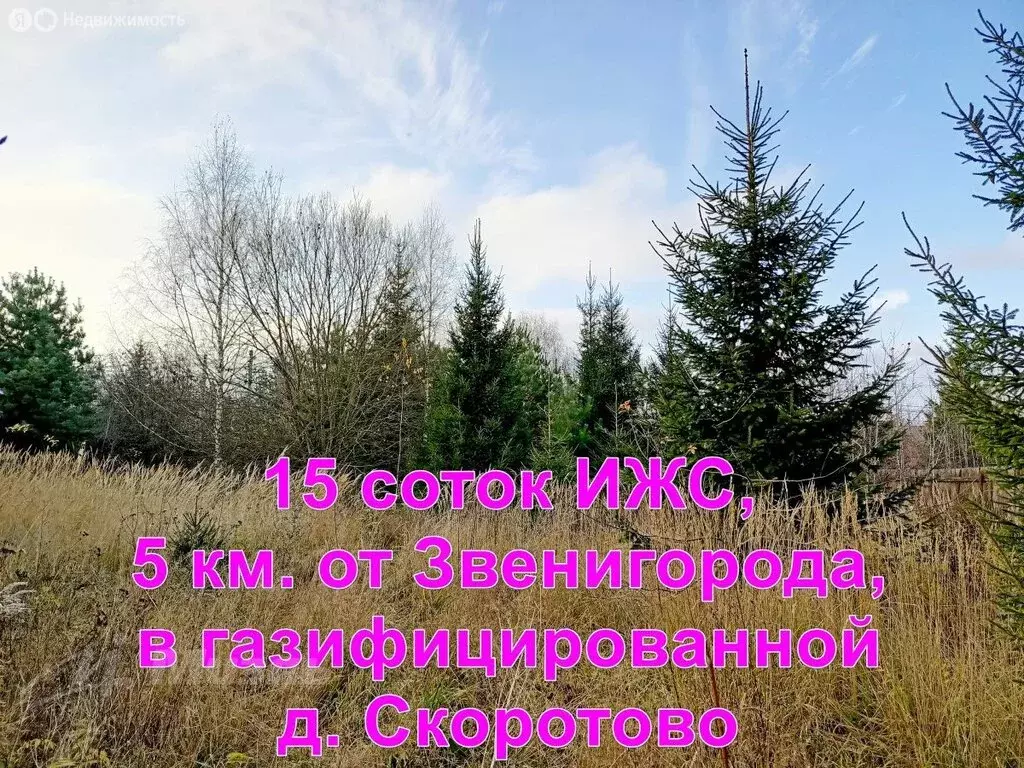 Участок в Скоротово, 46 (15 м) - Фото 1