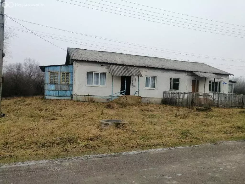 Дом в Одоевский район, сельское поселение Южно-Одоевское, село ... - Фото 1