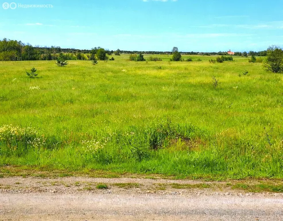 Участок в Медведевский район, Нурминское сельское поселение, село ... - Фото 2