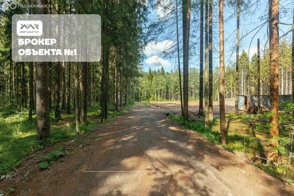 Участок в Зеленогорск, Лесная улица (12 м) - Фото 2