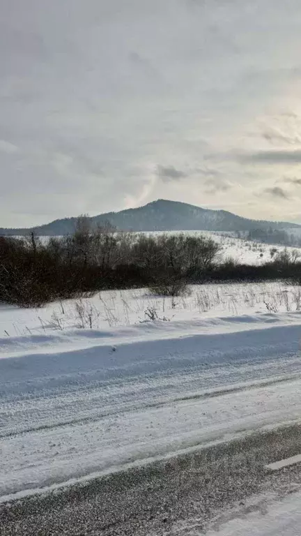 Участок в Алтайский край, Белокуриха Центральная ул., 6А (25.0 сот.) - Фото 1