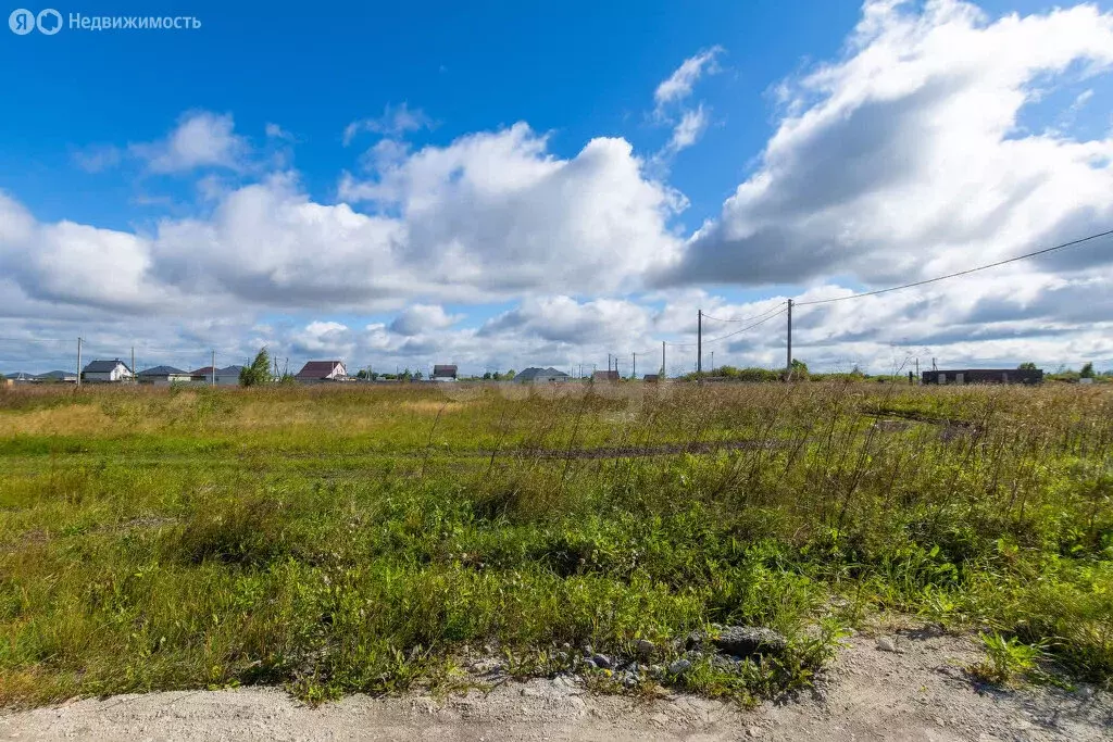 Участок в Тюмень, ТОО Ембаевское (7.53 м) - Фото 2