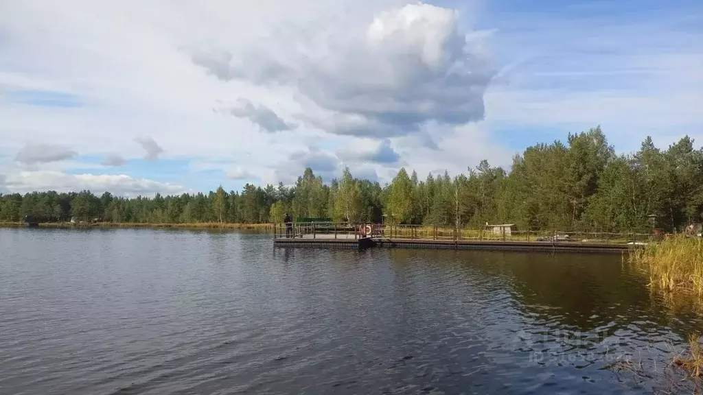 Участок в Свердловская область, Екатеринбург тракт Чусовской (5.16 ... - Фото 0