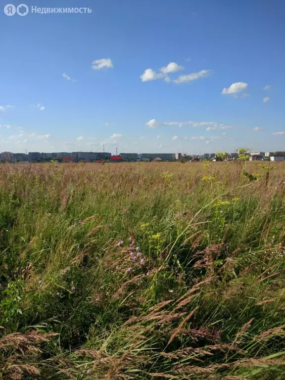 Участок в Нижний Тагил, 3-я Лазурная улица, 4 (10 м) - Фото 2