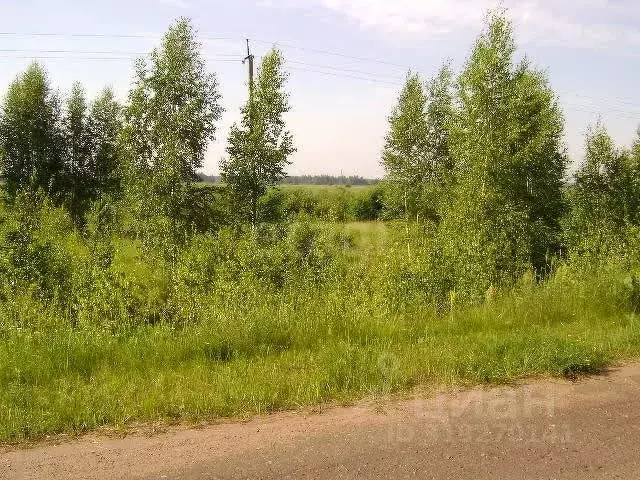 Участок в Ярославская область, Углич ул. Крупской, 9 (13.0 сот.) - Фото 1