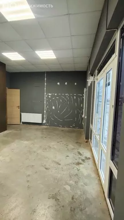 Помещение свободного назначения (32.6 м) - Фото 2