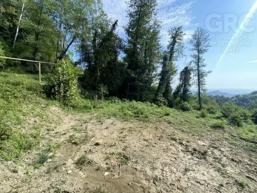 Участок в Краснодарский край, Сочи городской округ, с. Богушевка ул. ... - Фото 1